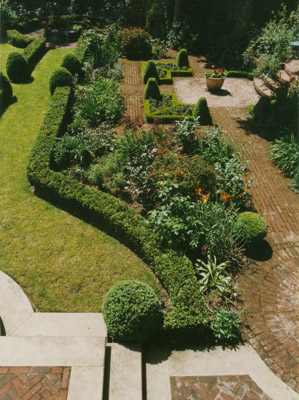 Garden in Hampstead, London