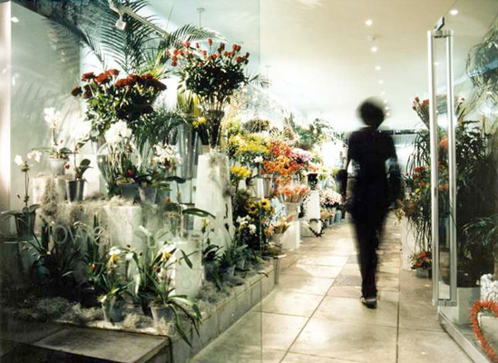 Shop, Finsbury Park, London